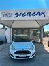 ford-fiesta-1-0-80cv-5-porte-black-white-edition