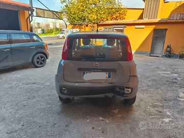 Fiat Panda 1.2 benzina 2019 sinistrata