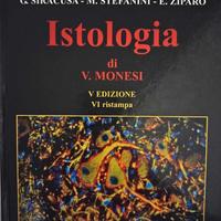 "Istologia" di Monesi