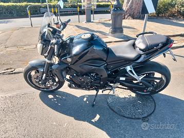 splendida Yamaha Fz1