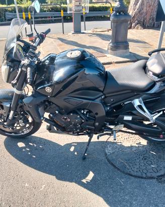 splendida Yamaha Fz1