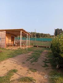 Terreno Agricolo di 3 Ettari
