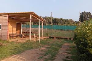 Terreno Agricolo di 3 Ettari