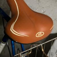 Bici vintage revisionata