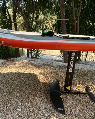 Attrezzatura wingfoil