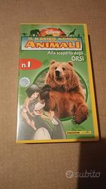 videocassetta animali