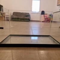 Terrario Tortugas 60 eco