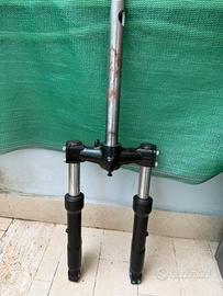Forcella 300hpe
