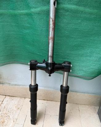 Forcella 300hpe
