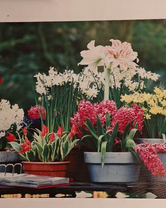 canvas tela quadro decorazione floreale 