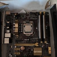 Asus Z87M-Plus + i3 4160 e 8GB RAM DDR3