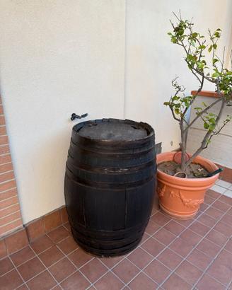 BOTTE CON TAVOLO E TINOZZA