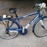 Bici Trekking Experia