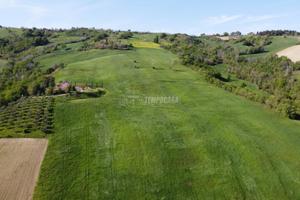 Terreno agricolo di 10 ettari seminativi