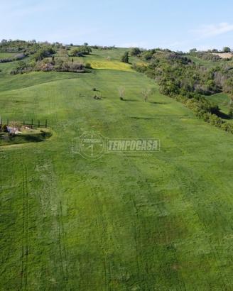 Terreno agricolo di 10 ettari seminativi