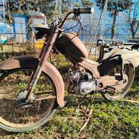 Giulietta Peripoli 1964