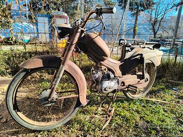 Giulietta Peripoli 1964