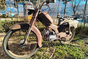 Giulietta Peripoli 1964