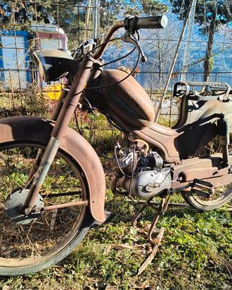 Giulietta Peripoli 1964