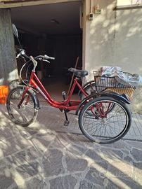 Bici triciclo 