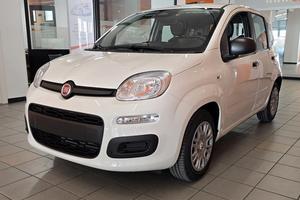 Fiat Panda Pandina 1.0 70CV Hybrid Icon - Nuova KM