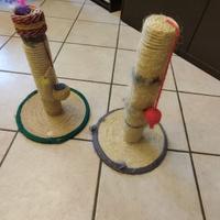 Tiragraffi per Gatti – Solo 17€!