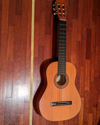 Chitarra acustica piccola