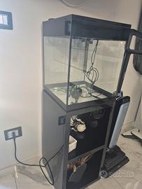acquario askoll pure led