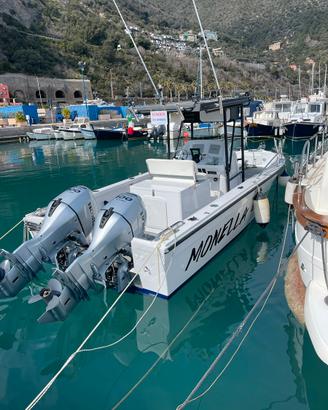 Barca da pesca