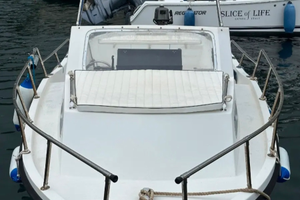 Javazzo cabinato 6m 40cv - no patene