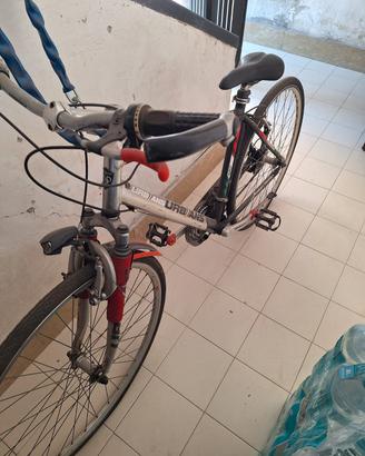 City bike bicicletta uomo