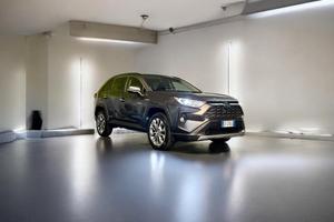 Toyota RAV4 2.5 vvt-ie hybrid Lounge awd-i e-cvt