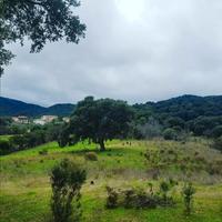 Padru, terreno agricolo