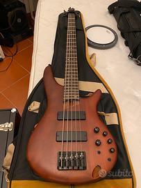 Basso 5 corde