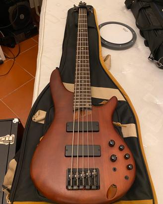 Basso 5 corde
