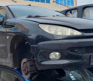 RICAMBI PEUGEOT 206 1.4 B anno 2003 - CL718