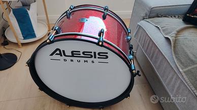 ALESIS STRIKE PRO SPECIAL EDITION + RACK