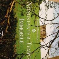 Nonostante il tempo immobile Sassaroli 2010