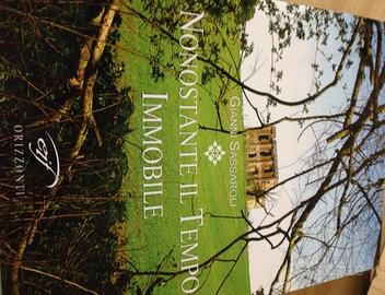 Nonostante il tempo immobile Sassaroli 2010