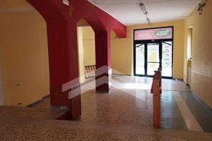 Locale artigianale - Campobasso