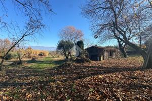 TER. RESIDENZIALE A SAN CESAREO