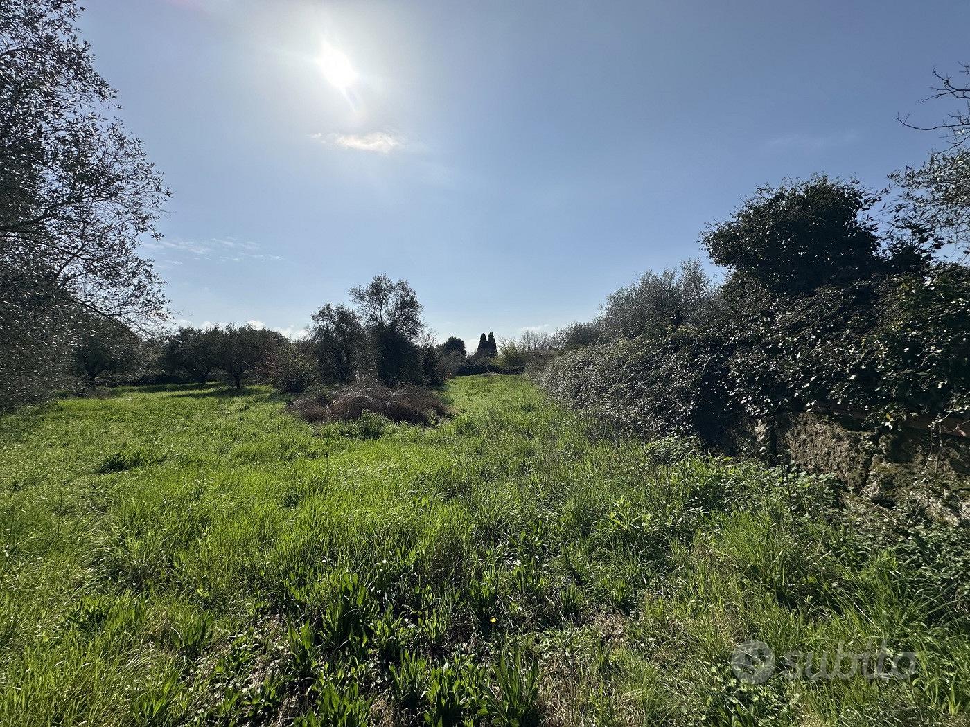 Terreno Agricolo Castel Sant'Elia - Vista 5