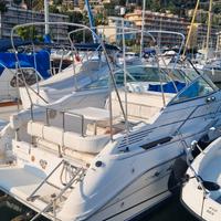 Barca sea ray 230