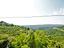 Immagine 13