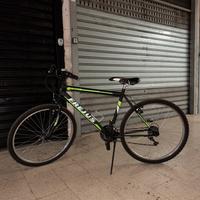 Bici Freyus