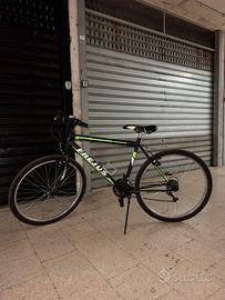 Bici Freyus