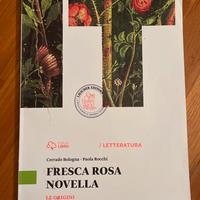 Fresca rosa novella usato