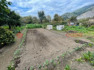 Terreno Agricolo Castel San Giorgio