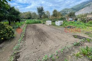 Terreno Agricolo Castel San Giorgio