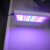 Luce led per piante